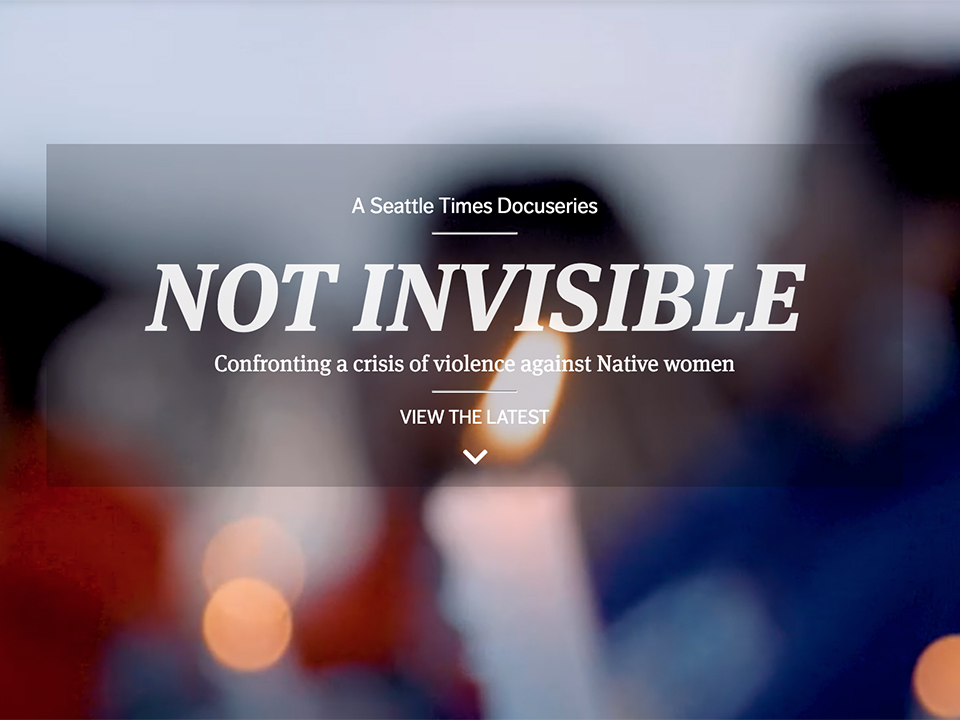 Not Invisible Series – Lauren Frohne